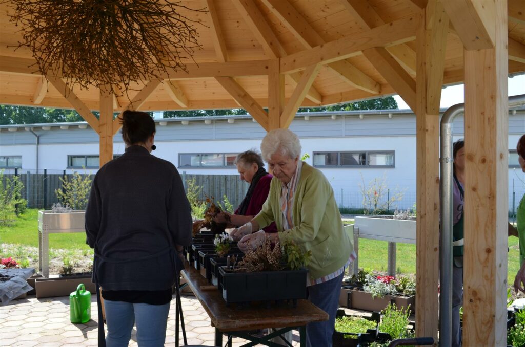 Pflanzaktion in Drömling