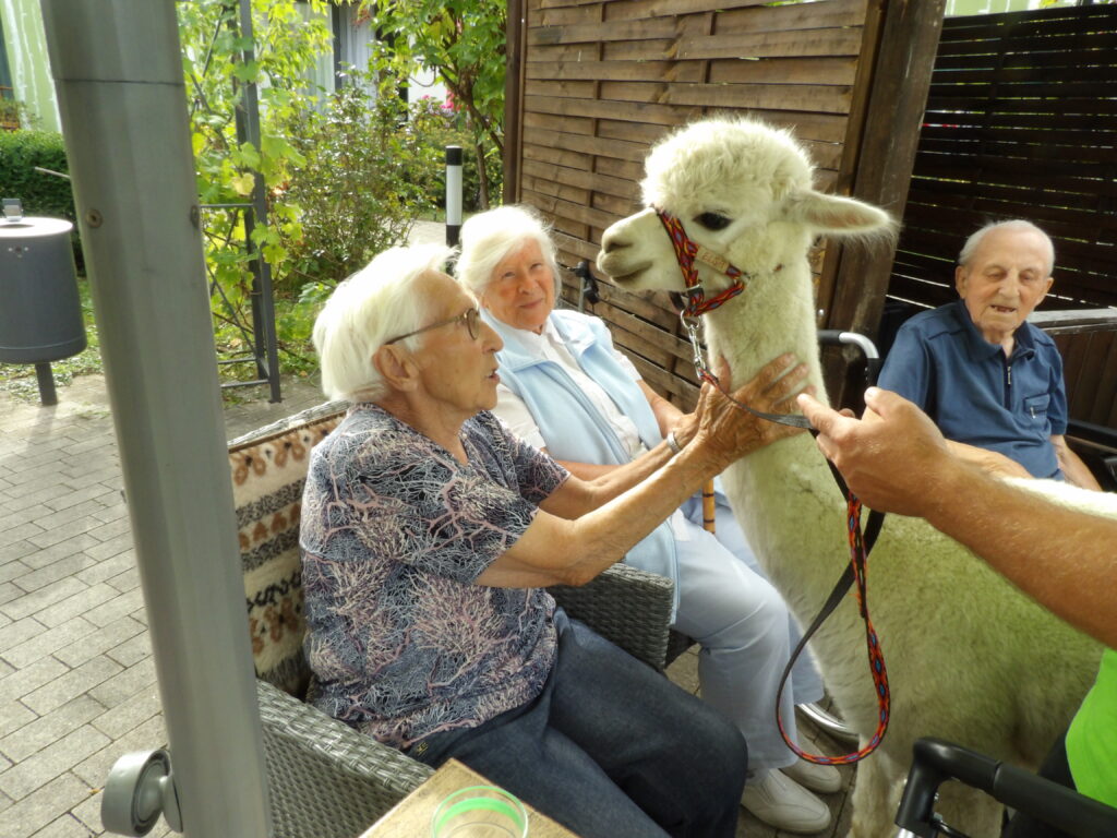 Seelentröster sind willkommen